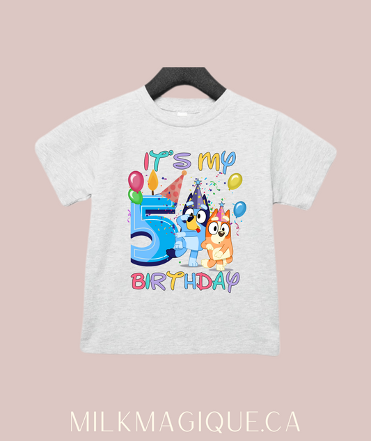 Birthday t-shirt: toddler